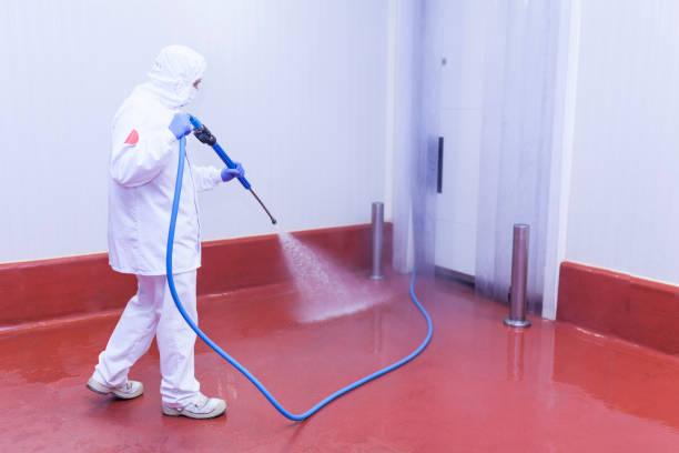 Best Spring Cleaning  in Tower City, PA